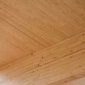 © Tyson Infanti | HESS TIMBER 