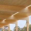 © Tyson Infanti | HESS TIMBER 